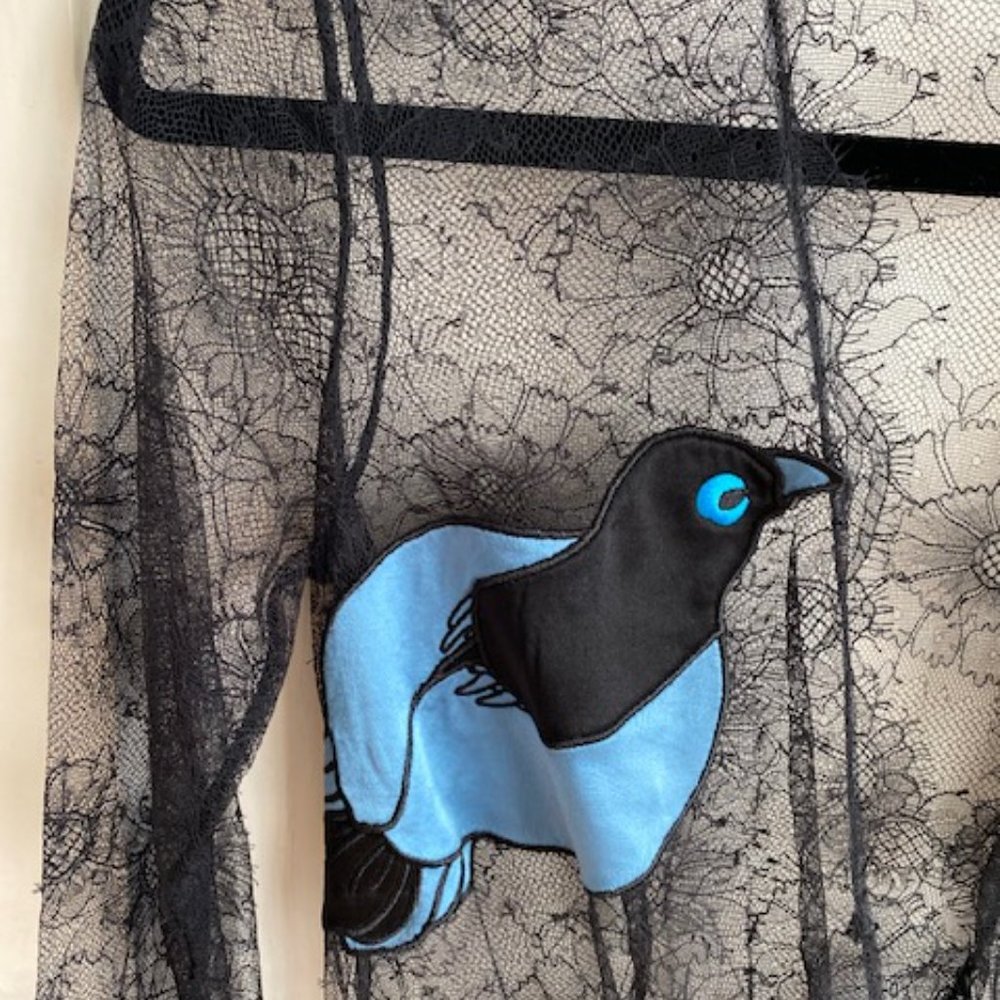 Stunning Morgan Lane Lovebird Jacana Bodysuit Black Lace Bodysuit Size Medium - Picture 4 of 10